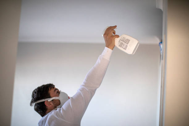 Plano, IL Mold Remediation Company