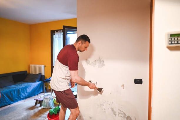 Best Emergency Mold Remediation in Plano, IL